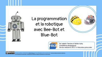 Cap écran bbot