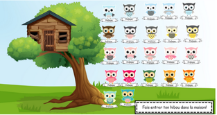 Capture présences hiboux