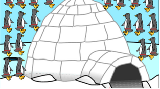 Capture présences Manchots