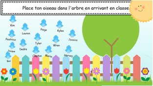 Capture présences oiseaux