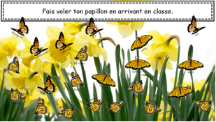 Capture présences papillons