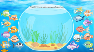 Capture présences poissons