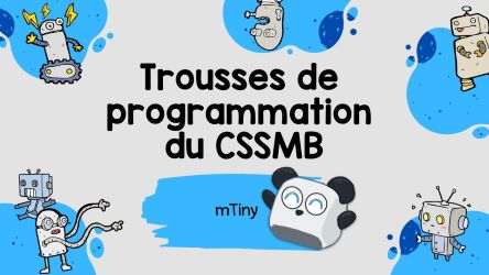 Document d'appropriation mTiny