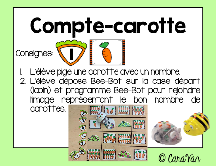 carottes