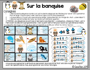 banquise