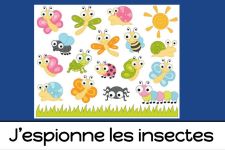 J'espionne les insectes