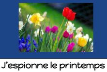 J'espionne le printemps